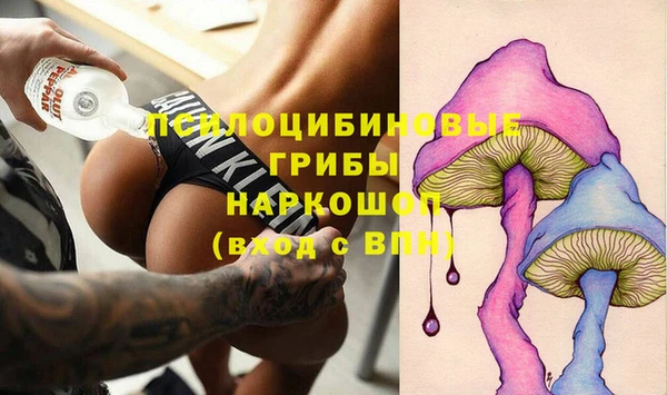 спайс Арсеньев