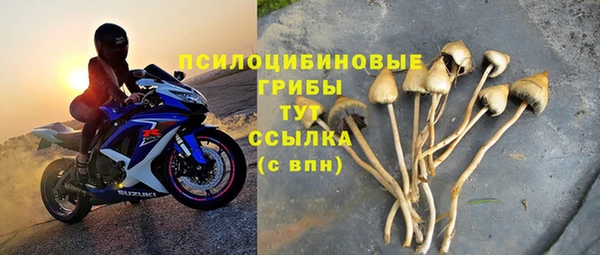 спайс Арсеньев