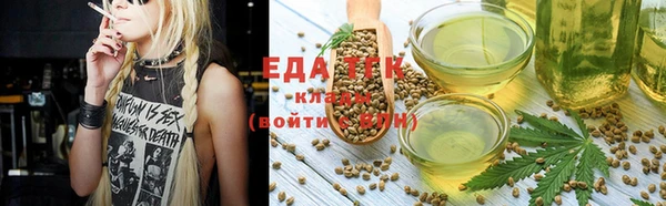 спайс Арсеньев