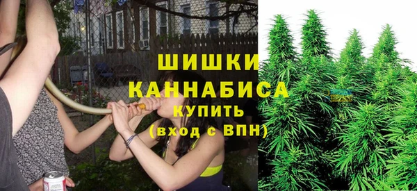 спайс Арсеньев