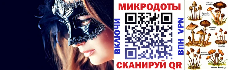 Галлюциногенные грибы ЛСД  как найти   Заозёрный 